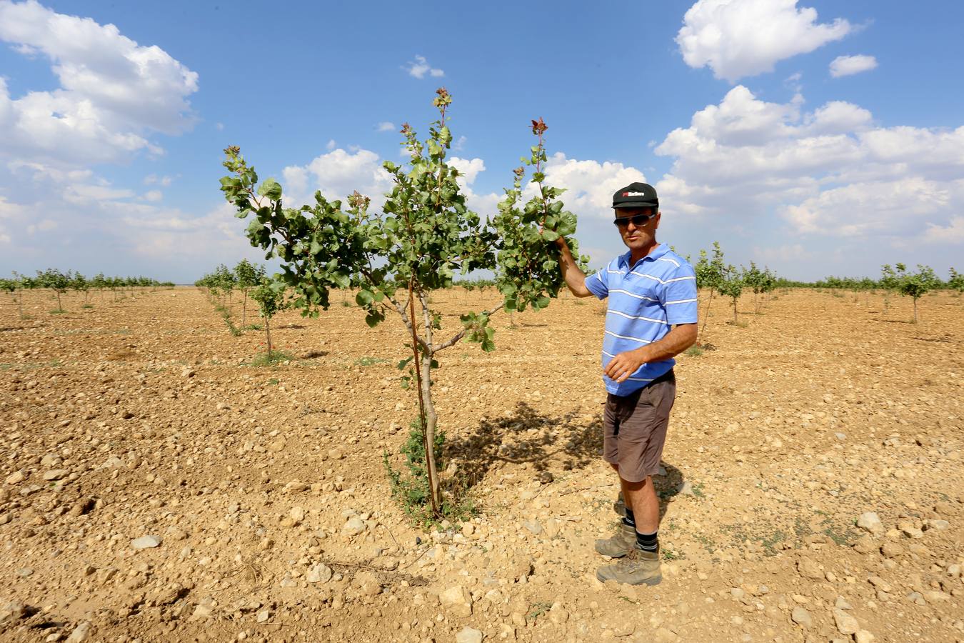El agricultor José María Rey, en sus cultivos de Villafuerte de Esgueva (Valladolid).