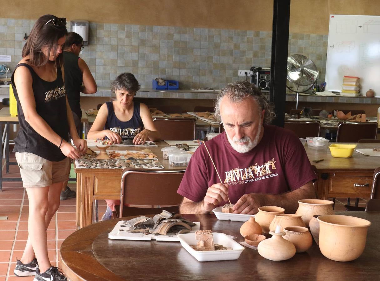 Fotos: Excavaciones en el yacimiento arqueológico de Pintia