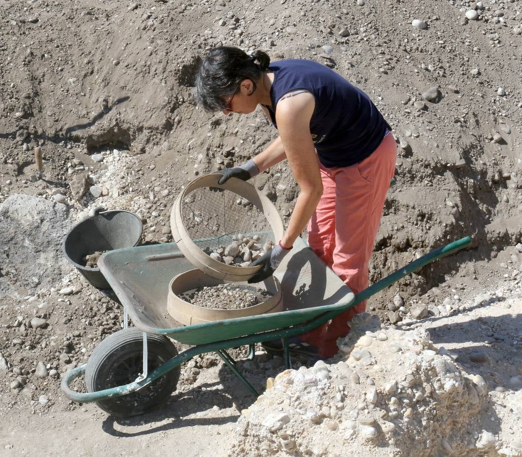 Fotos: Excavaciones en el yacimiento arqueológico de Pintia