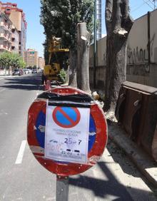 Imagen secundaria 2 - Poda radical en la avenida de Irún de Valladolid