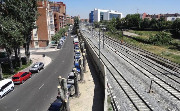 Primera hilera de álamos podados durante la mañana de ayer en la avenida de Irún, al borde de la vía.