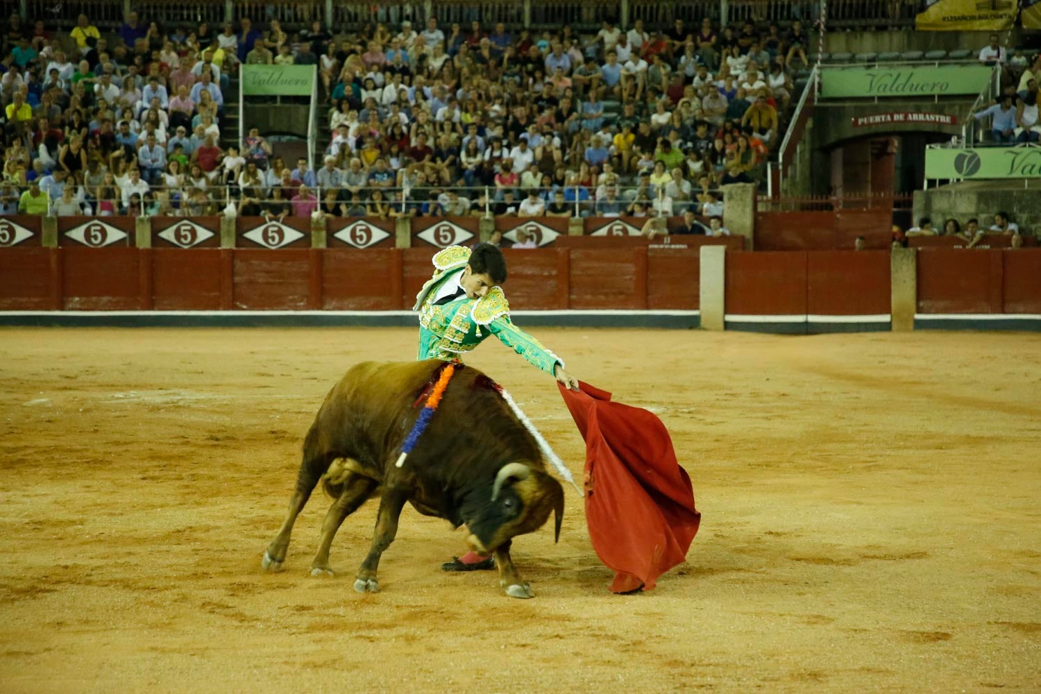 Una novillada con caballos, cuatro corridas de toros y una corrida de rejones mixta, que se celebrarán del 12 al 21 de septiembre