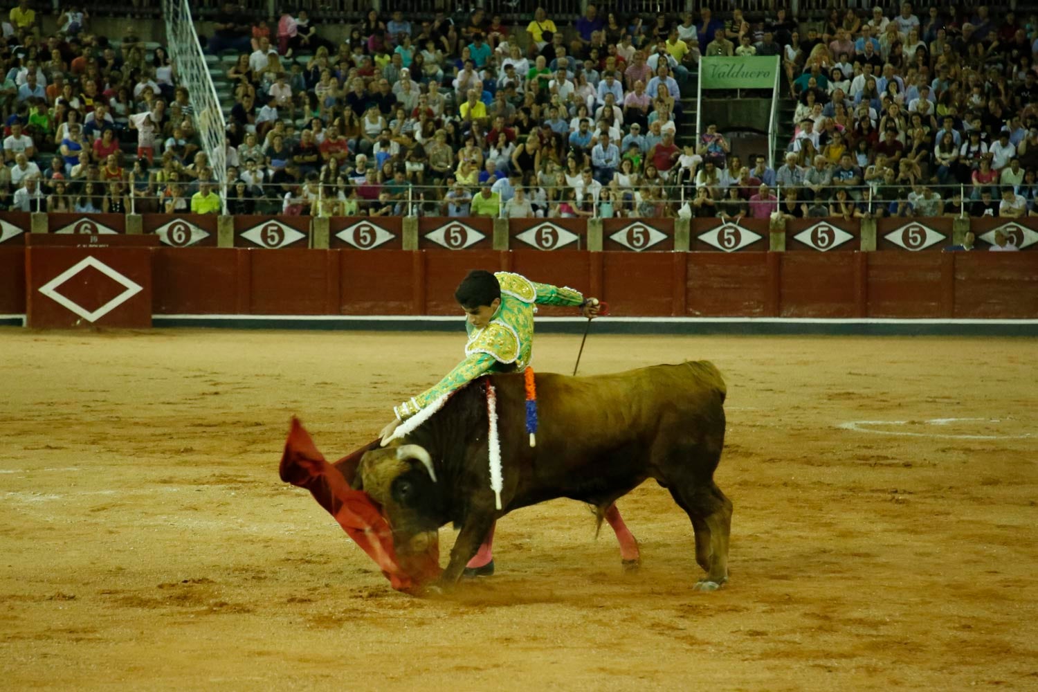 Una novillada con caballos, cuatro corridas de toros y una corrida de rejones mixta, que se celebrarán del 12 al 21 de septiembre