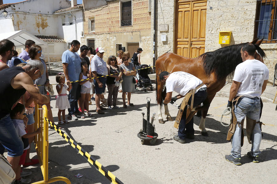 Fotos: Mercado Medieval en Fuentes de Valdepero