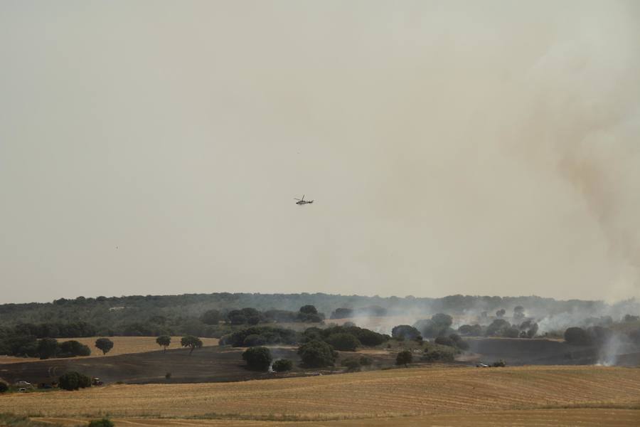 Fotos: Un incendio quema varias hectáreas de cereal y monte en Vertavillo