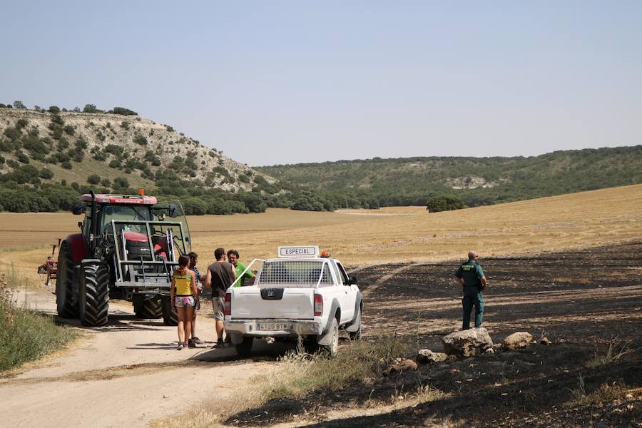 Fotos: Un incendio quema varias hectáreas de cereal y monte en Vertavillo