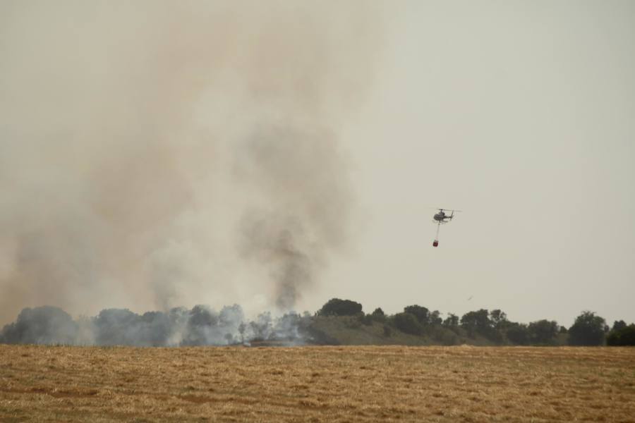 Fotos: Un incendio quema varias hectáreas de cereal y monte en Vertavillo