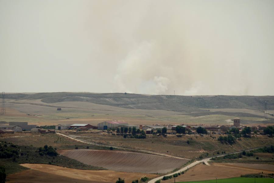Fotos: Un incendio quema varias hectáreas de cereal y monte en Vertavillo