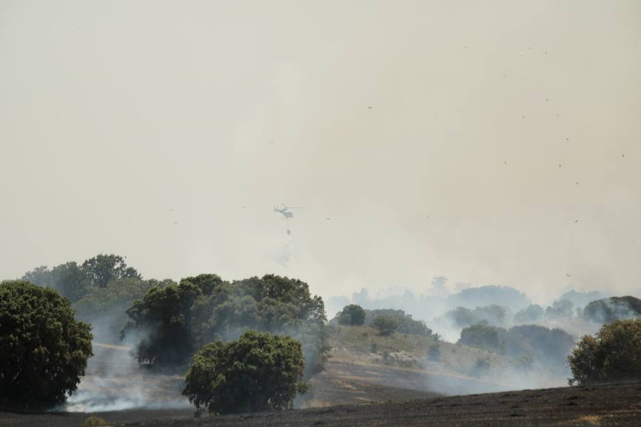 Fotos: Un incendio quema varias hectáreas de cereal y monte en Vertavillo