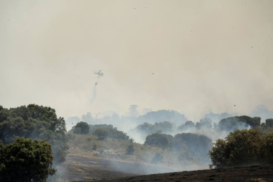 Fotos: Un incendio quema varias hectáreas de cereal y monte en Vertavillo