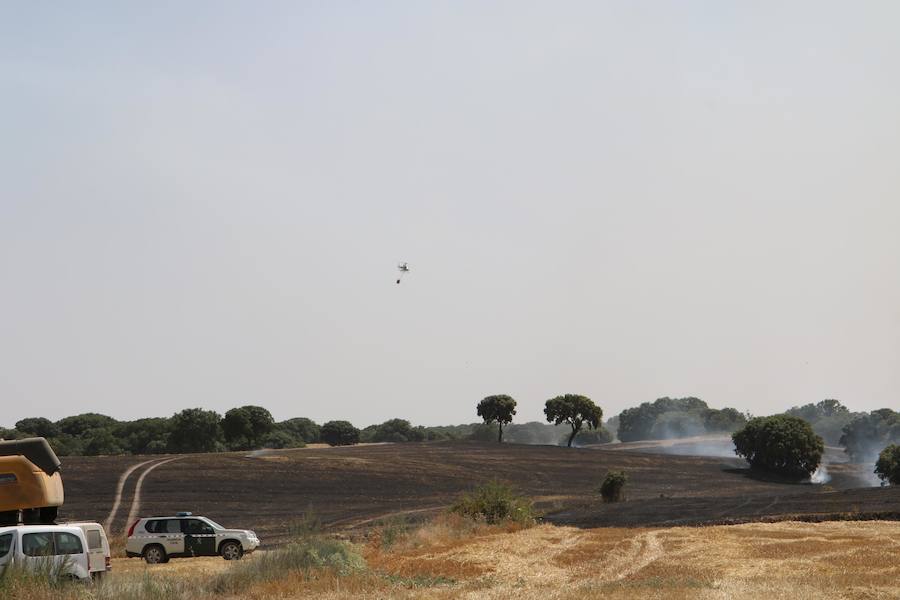 Fotos: Un incendio quema varias hectáreas de cereal y monte en Vertavillo