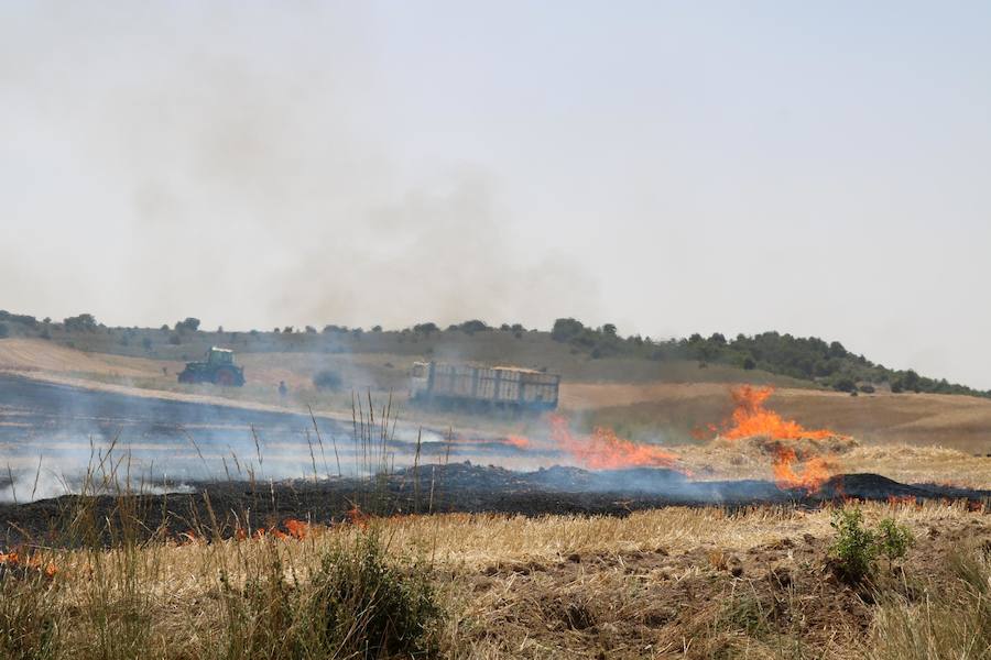 Fotos: Un incendio quema varias hectáreas de cereal y monte en Vertavillo