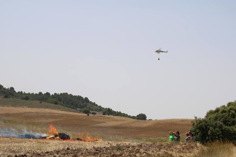 Fotos: Un incendio quema varias hectáreas de cereal y monte en Vertavillo
