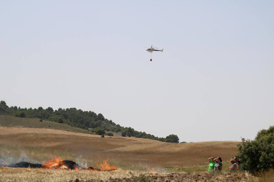 Fotos: Un incendio quema varias hectáreas de cereal y monte en Vertavillo