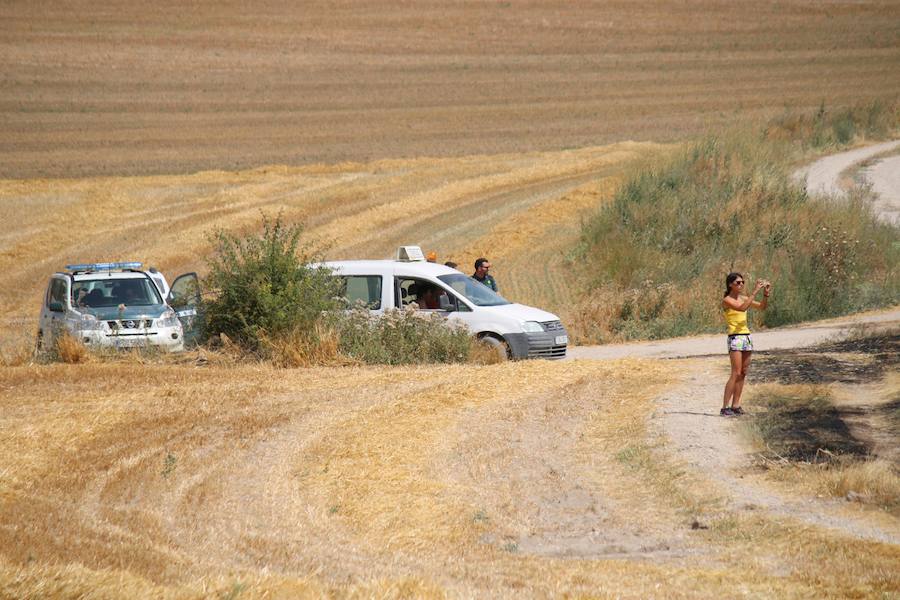 Fotos: Un incendio quema varias hectáreas de cereal y monte en Vertavillo