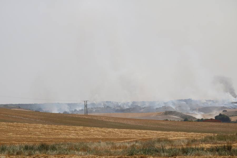 Fotos: Un incendio quema varias hectáreas de cereal y monte en Vertavillo