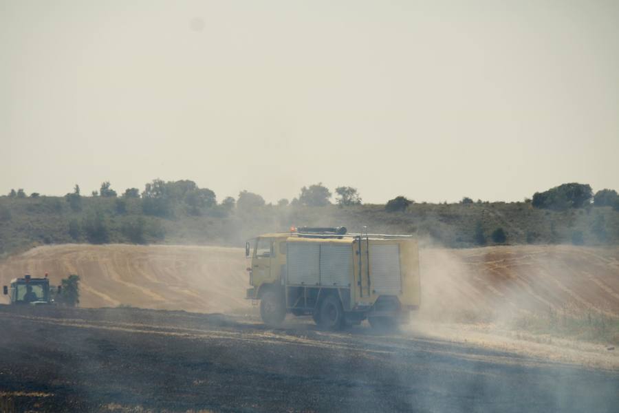 Fotos: Un incendio quema varias hectáreas de cereal y monte en Vertavillo