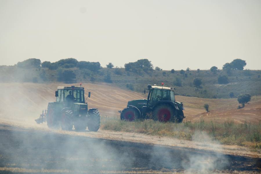 Fotos: Un incendio quema varias hectáreas de cereal y monte en Vertavillo