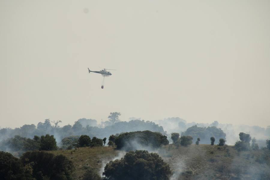 Fotos: Un incendio quema varias hectáreas de cereal y monte en Vertavillo