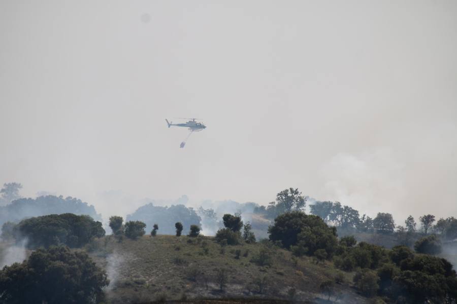 Fotos: Un incendio quema varias hectáreas de cereal y monte en Vertavillo