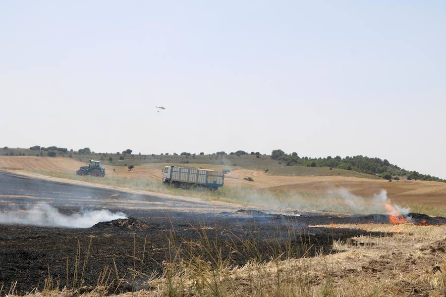 Fotos: Un incendio quema varias hectáreas de cereal y monte en Vertavillo