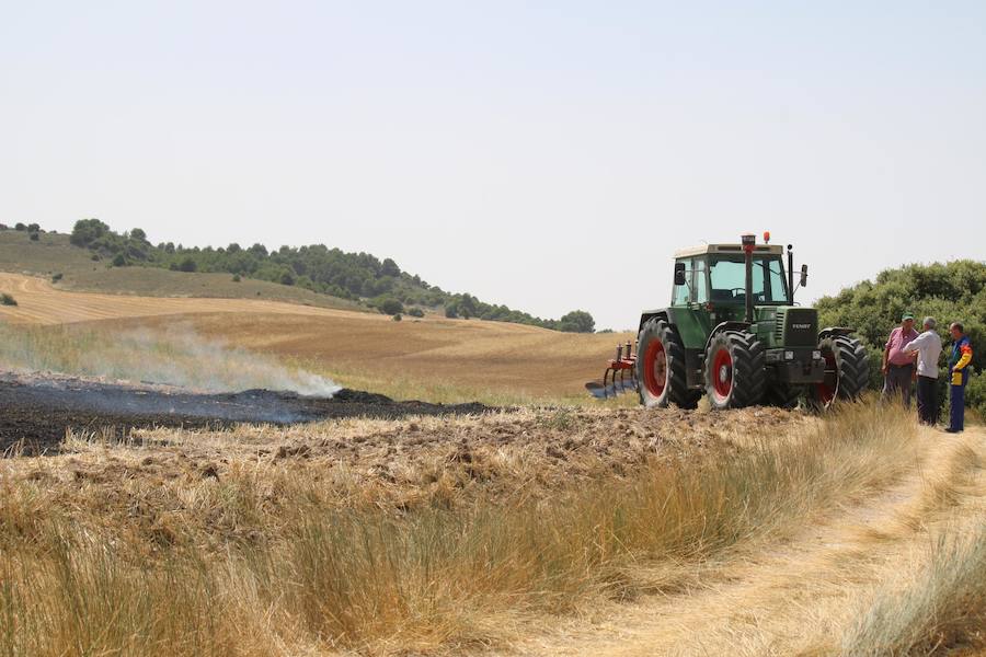 Fotos: Un incendio quema varias hectáreas de cereal y monte en Vertavillo