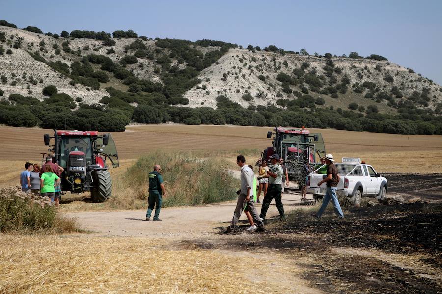 Fotos: Un incendio quema varias hectáreas de cereal y monte en Vertavillo