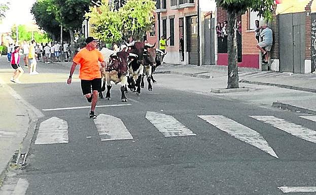Un hombre corre delante de la manada. 