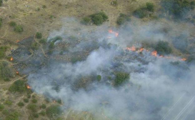 Incendio forestal en la localidad abulense de Cebreros en 2015.