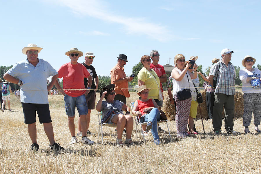 Fotos: Fiesta de la Trilla en Castrillo de Villavega