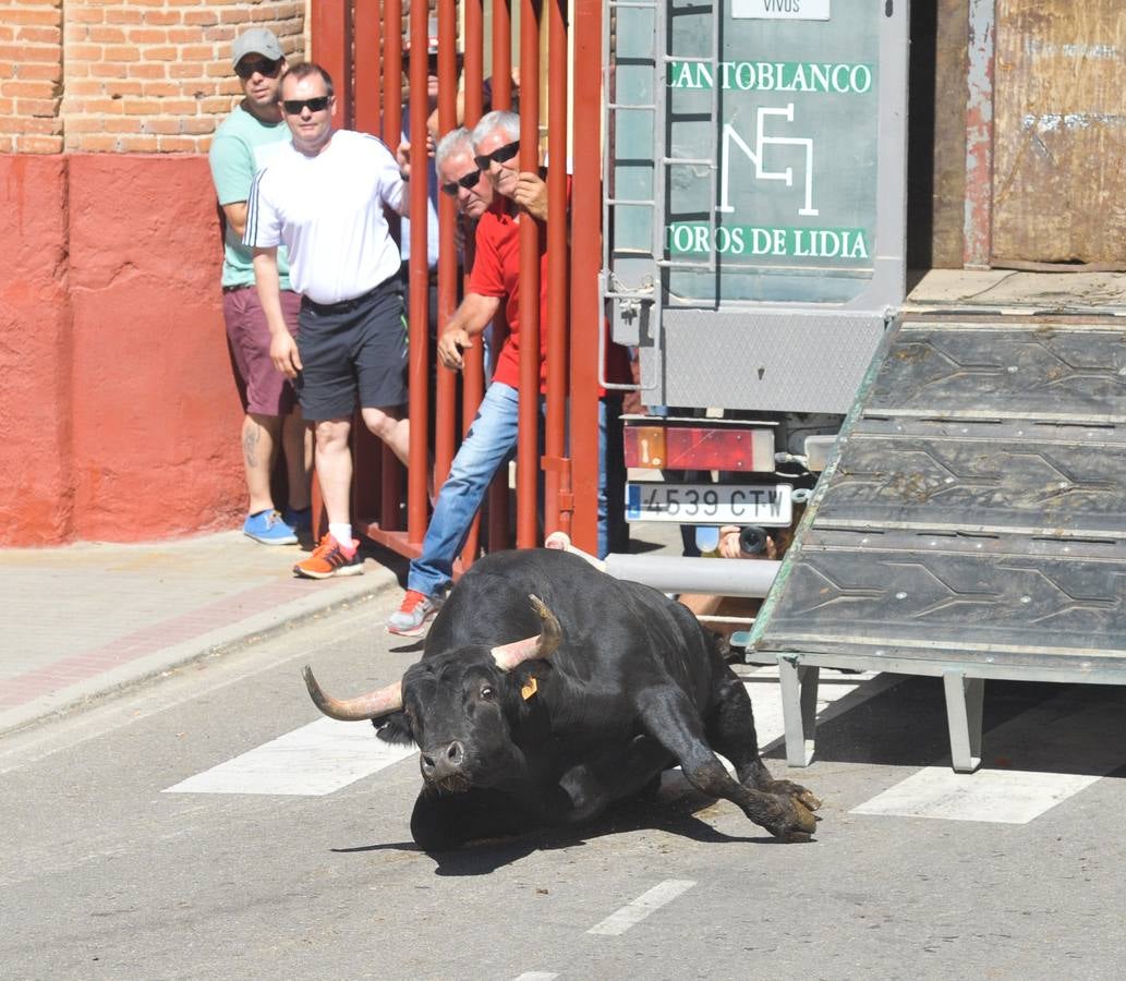 Fotos: Encierro en Rueda