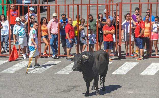 Varias personas contemplan el encierro detrás de las talanqueras.