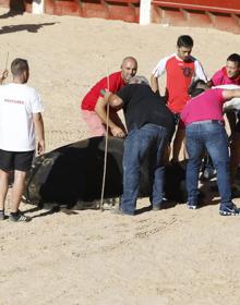 Imagen secundaria 2 - Muere un toro en el desencajonamiento de esta tarde en Peñafiel