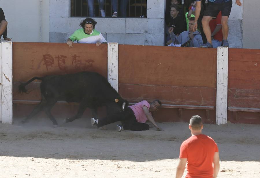 Fotos: Primer encierro en Peñafiel