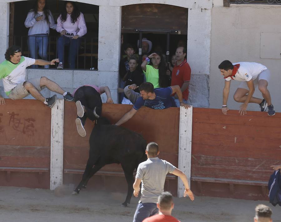 Fotos: Primer encierro en Peñafiel