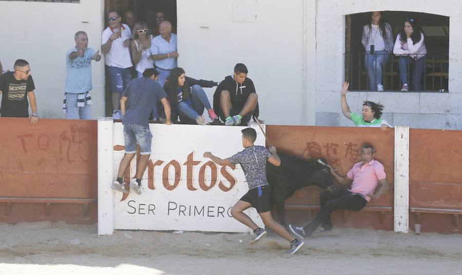 Fotos: Primer encierro en Peñafiel