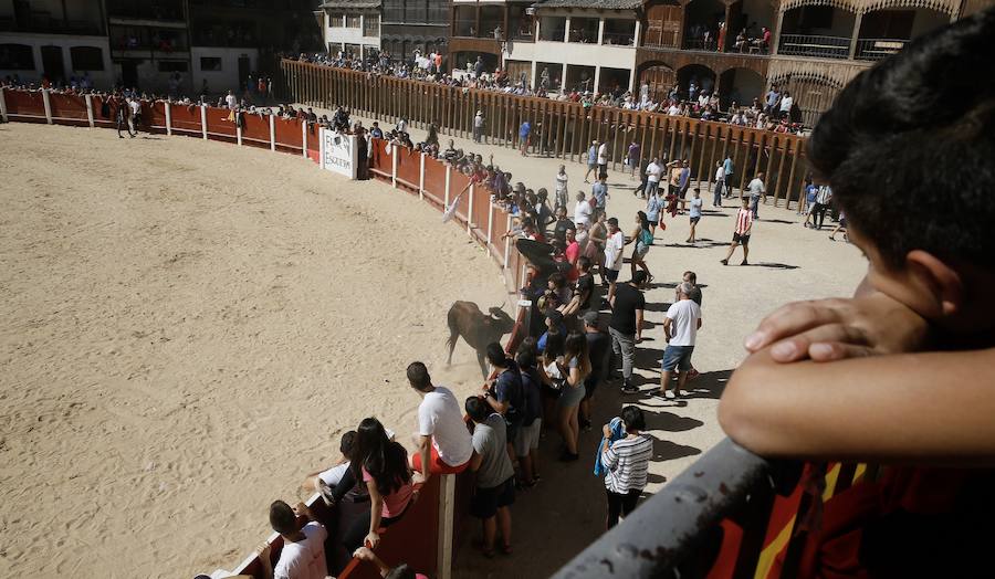 Fotos: Primer encierro en Peñafiel