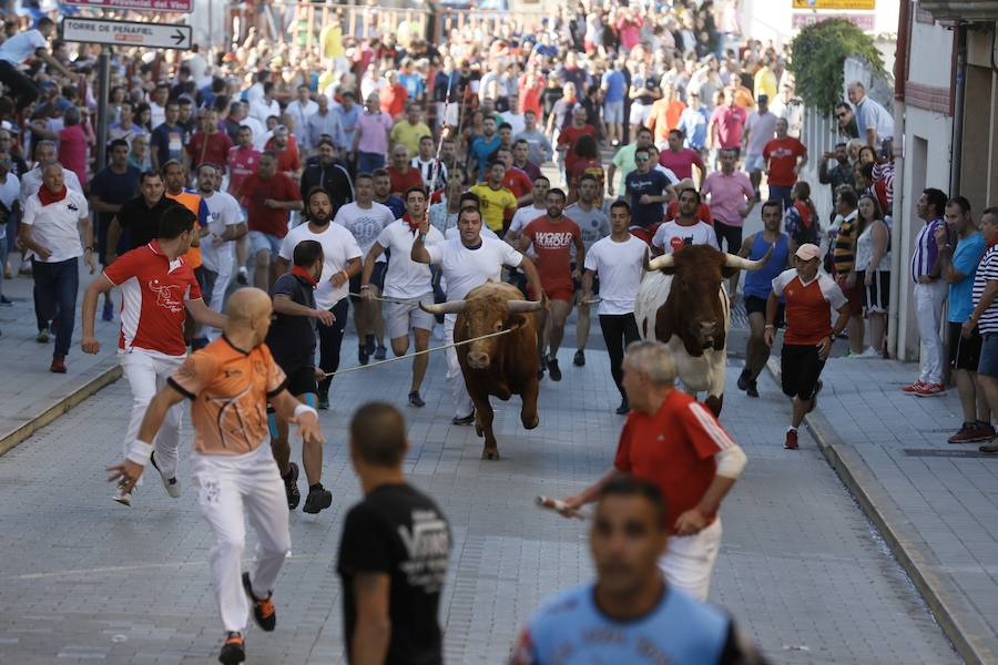 Fotos: Primer encierro en Peñafiel