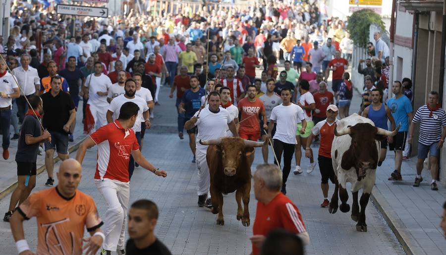 Fotos: Primer encierro en Peñafiel