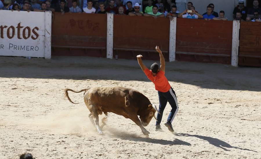 Fotos: Primer encierro en Peñafiel