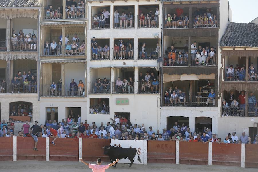 Fotos: Primer encierro en Peñafiel