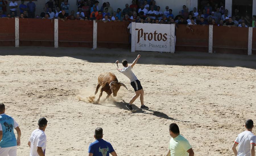 Fotos: Primer encierro en Peñafiel