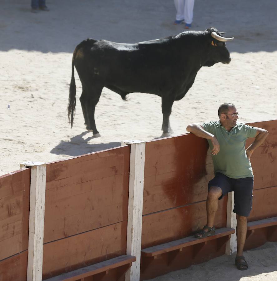 Fotos: Primer encierro en Peñafiel