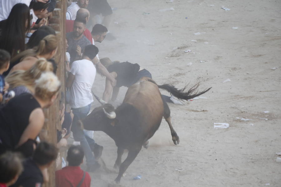 El primer novillo de la suelta ha saltado desde el redondel al exterior y ha sembrado el caos entre los congregados para ver el espectáculo taurino. Finalmente no se han registrado heridos