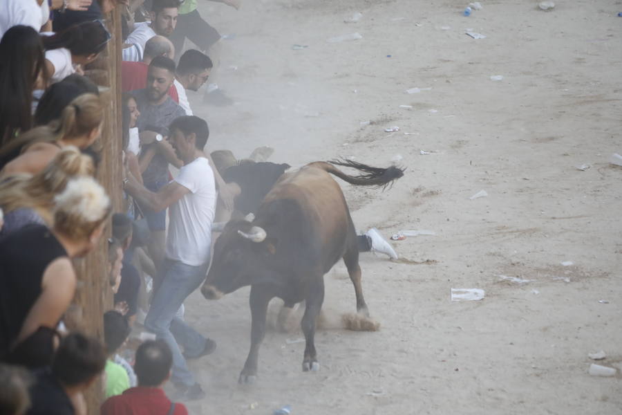 El primer novillo de la suelta ha saltado desde el redondel al exterior y ha sembrado el caos entre los congregados para ver el espectáculo taurino. Finalmente no se han registrado heridos