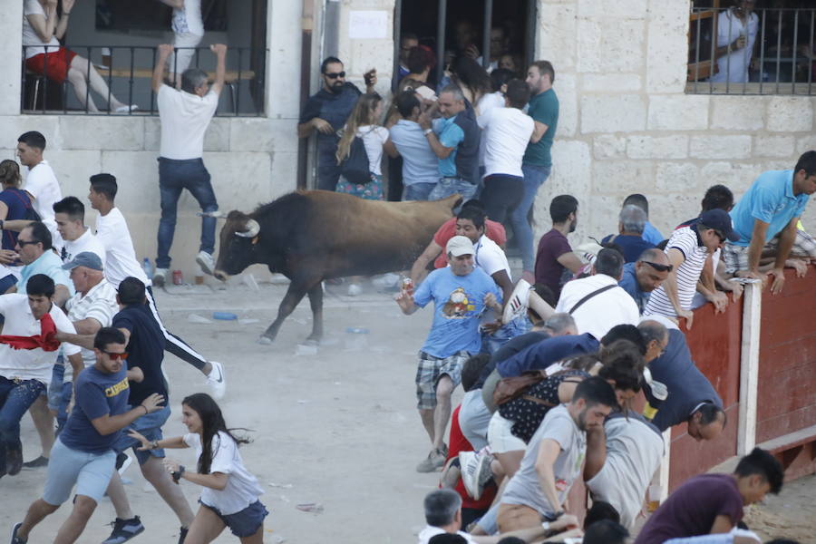 El primer novillo de la suelta ha saltado desde el redondel al exterior y ha sembrado el caos entre los congregados para ver el espectáculo taurino. Finalmente no se han registrado heridos