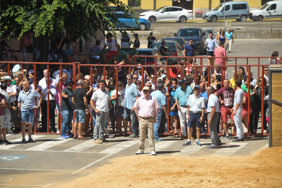 La localidad celebra sus fiestas y hoy, 15 de agosto difruta de tres encierros por las calles del municipio.