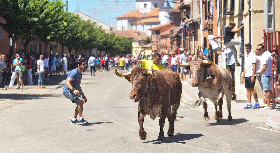 La localidad celebra sus fiestas y hoy, 15 de agosto difruta de tres encierros por las calles del municipio.