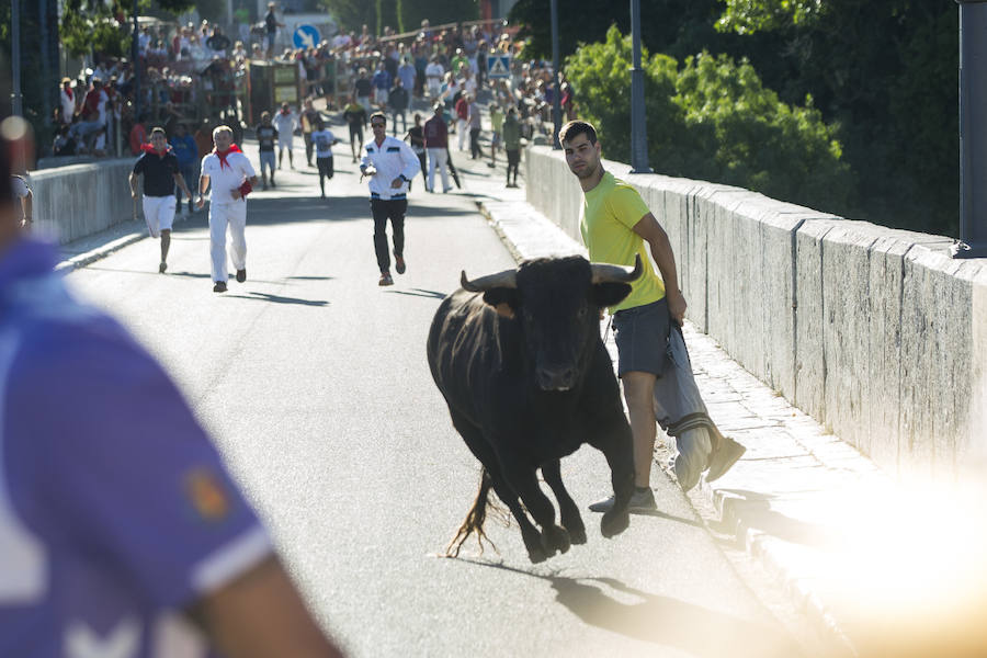 Se ha celebrado a las 9.30 y ha dejado un herido por asta de toro. Un varón de unos 40 años ha sufrido dos cornadas y se ha golpeado la cabeza. El Toro del Alba es uno de los festejos más concurridos de este 15 de agosto en la localidad.