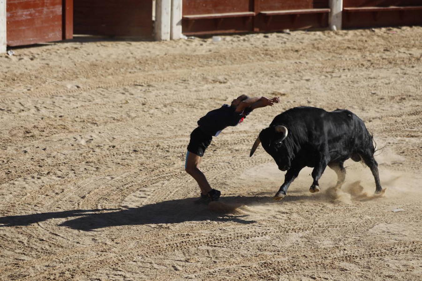 Fotos: Capea en la Plaza del Coso de Peñafiel